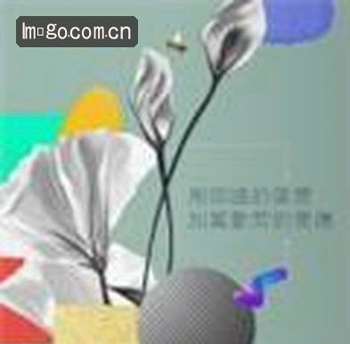 赵姐